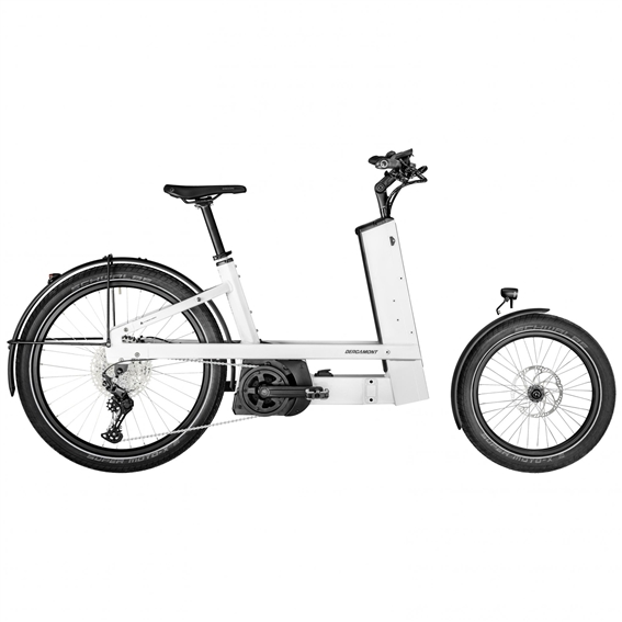 Buy Electric Cargo Bikes Online At 